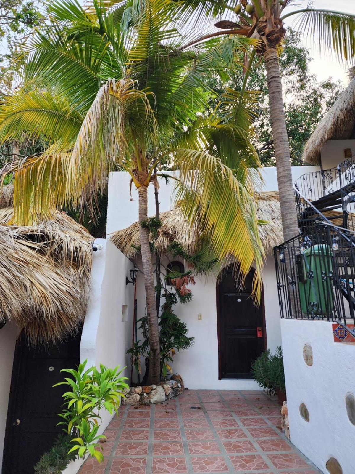 Hotel Esencia Puerto Escondido Puerto Escondido  Exterior foto